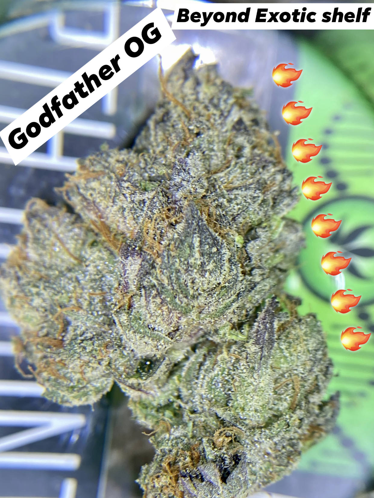 Treat severe nausea or vomiting caused by cancer treatment with popular feminized cannabis Godfather OG strain seeds